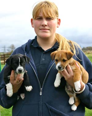 Barnaby and Benji, with handler Lindsay