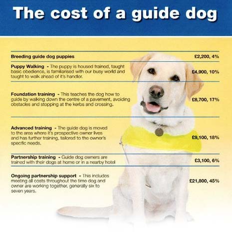 The costs involved in training a new guide dog which Sainsbury's Dronfield will be supporting