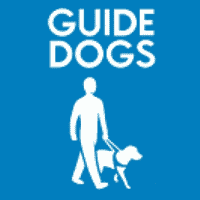 Leading charity Guide Dogs has teamed up with Paralympian Libby Clegg to call on the public to back a change.org petition, to protect pedestrians from the dangers posed by quiet cars.