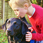 Could YOUR Labrador Be A Life Changer?