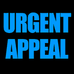 UPDATE On Urgent Appeal To Find Olive Clarke's Family