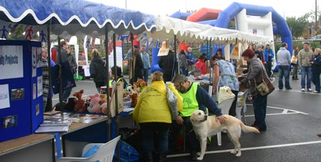 Visitors at the community fair