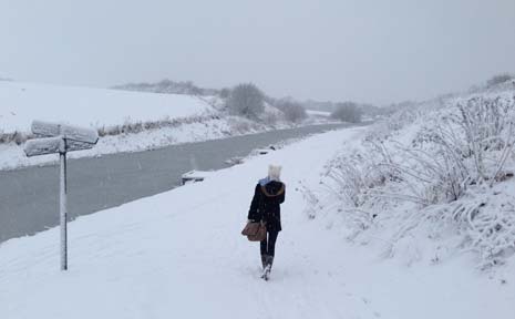 A snowy walk along Chesterfield Canal