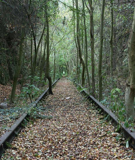 Great Outdoor Activities In Chesterfield. There is so much to do in the Chesterfield area that you may have trouble planning your weekend getaway.