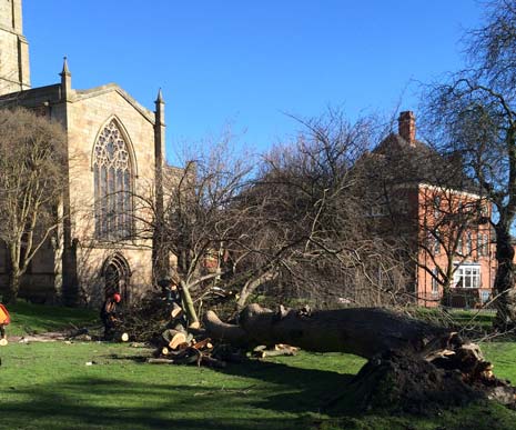 Gale force winds affecting much of the UK last night also caused plenty of damage across Chesterfield, leaving collapsed trees, blocked roads, localised flooding and travel chaos in it's wake.