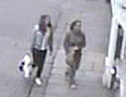 Police have released CCTV images of two women they would like to speak to in connection with a series of fraud offences in which more than £9,000 was taken from a pensioner.