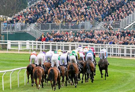 The 2014 Cheltenham Festival is coming up fast, with all eyes in the racing world looking towards the highlight of the national hunt season.