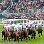 Cheltenham Festival 2014 Preview